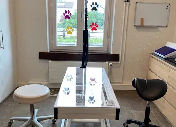 Hundesalon Wuschel